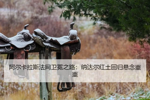 a-er-ka-la-si-fa-wang-wei-mian-zhi-lu-na-da-er-hong-tu-hui-gui-xuan-nian-chong-chong-2-880.jpg