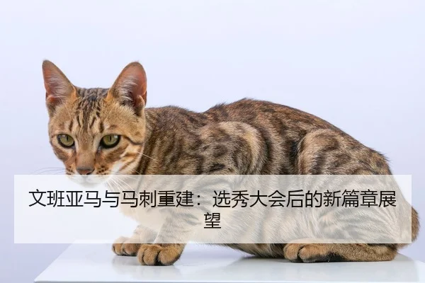 文班亚马与马刺重建：选秀大会后的新篇章展望